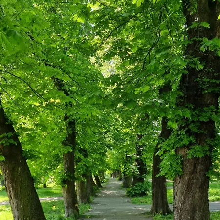 On Top Of The World Gdańsk