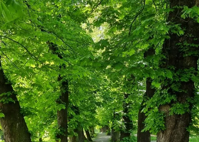 On Top Of The World Danzig